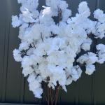 Сакура Крило Янгола білосніжна  100 см