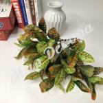Искусственные кустарники, Искусственные деревья, Искусственные растения, Искусственные кусты, кусты искусственные декоративные, Искусственные кустарники для декора, Искусственные деревья для декора, Искусственные растения для декора, Искусственные кусты для декора, купить искусственные кустарники оптом Украина, купить искусственные деревья оптом Украина, купить искусственные растения оптом Украина, купить искусственные кусты оптом Украина, купить искусственные цветы оптом Украина. купить декор оптом Украина