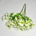 Кущ космеї. 40 см. Білий.