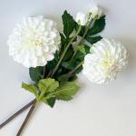 Гілка жоржини великої з бутоном. 63 см. Білий.