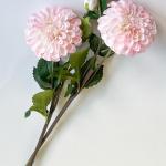 Гілка жоржини великої з бутоном. 63 см. Ніжно-рожевий.