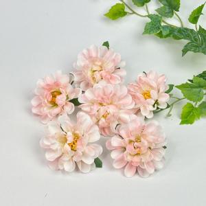 Голова жоржини 8 см, 10 шт. Ніжно-рожевий.