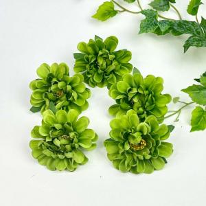 Голова жоржини 8 см, 10 шт. Зелений.