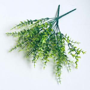 Кущ євкаліпта. 35 см. 7 гілочок.