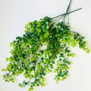 Ампельна гілка зеленого евкаліпта. 80 см.