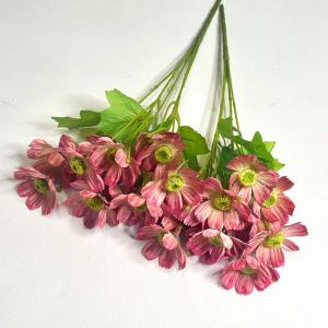 Кущ космеї. 40 см. Ліловий.