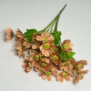Кущ космеї. 40 см. Цегловий.