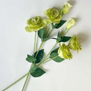 Гілка еустоми «Люкс» 70 см. Зелена.