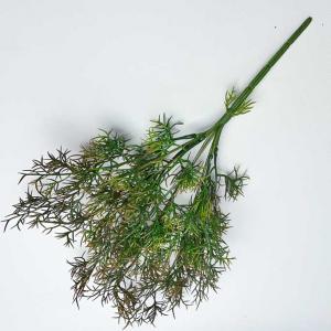 Кущ аспарагуса. 40 см. Червоний.