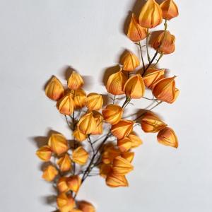 Гілка фізаліса 120 см. Помаранчевий.